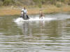 Les plus aguerris des cavaliers du centre equestre sont au galop dans le lac.